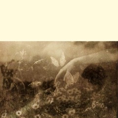 Into A Spirit's Dream (Feat. Sherry Finzer)