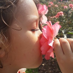 Rosa es Dicha de Amor Puro 🌕 Blissful Pure Love Rose