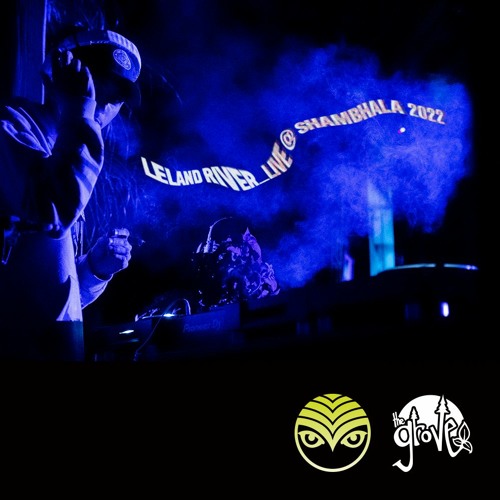 Live @ Shambhala 2022