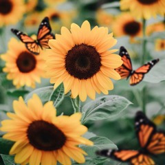 Leanin(DEMO)- JO£L prod. "DOS BEATS" MadebyTrip & PapiiSlim