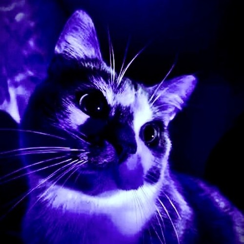 Paquin- Chandelier (Instrumental) (Slowed & Reverb)