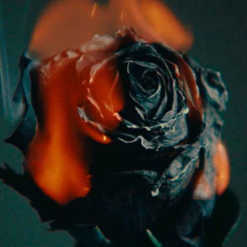 Imminence - Jaded