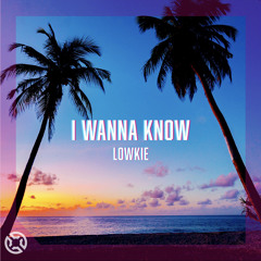 Lowkie - I Wanna Know (Extended Mix)