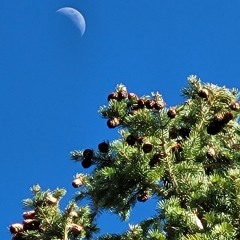 All the Turnings of the Sun (Vocal and Acoustic Guitar)