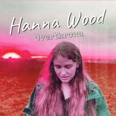 My Crazy Stupid Love