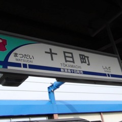 Red Tokamachi Zone