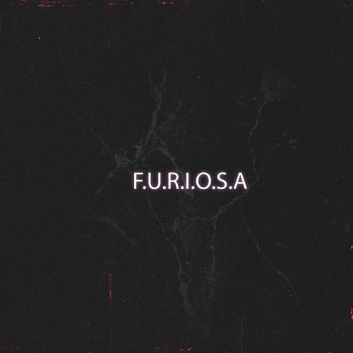 Trackwasher - F.U.R.I.O.S.A