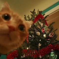 новогодний фристайл