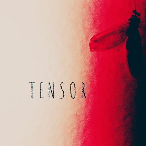 Tensor- My Acceptance