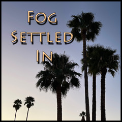 Fog Settled In