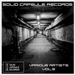 Various Artists 2 Solid Capsule Records mixed by Anne Rosko