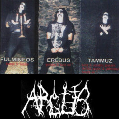 Argus - Castelul nopții