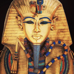 shawn loyal - TownOFtheChi