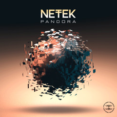 Netek-Electric Control (preview)Protonic Records