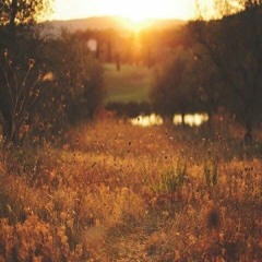 Hermanos Gutirrez - Guayaquil