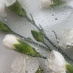 Come What May // Air Supply (short cover)