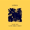 unders | liyum jungle cenote | tulum | 03.01.2021 DJ mix artwork - Electronic music tracklist cover image