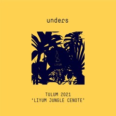 unders | liyum jungle cenote | tulum | 03.01.2021