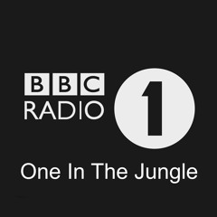 DJ Krust – One In The Jungle [3rd May 1996]
