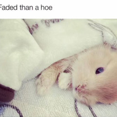 Faded den a hoe (ft.shenotopium)prod.Ochoo