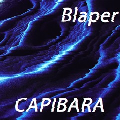 Blaper - Capi (Original Mix)