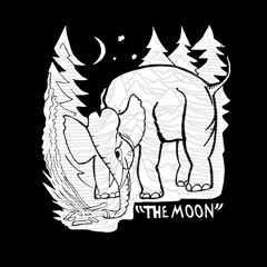 The Moon - The Microphones (but it's a post-punk cover)