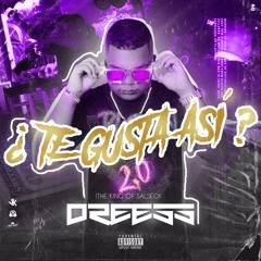 ¿TE GUSTA ASI? 2.0  - MIXED BY DREESS
