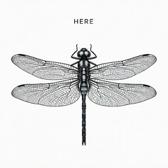 Here