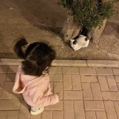 ‎تطمني - هادي بن ربعه
