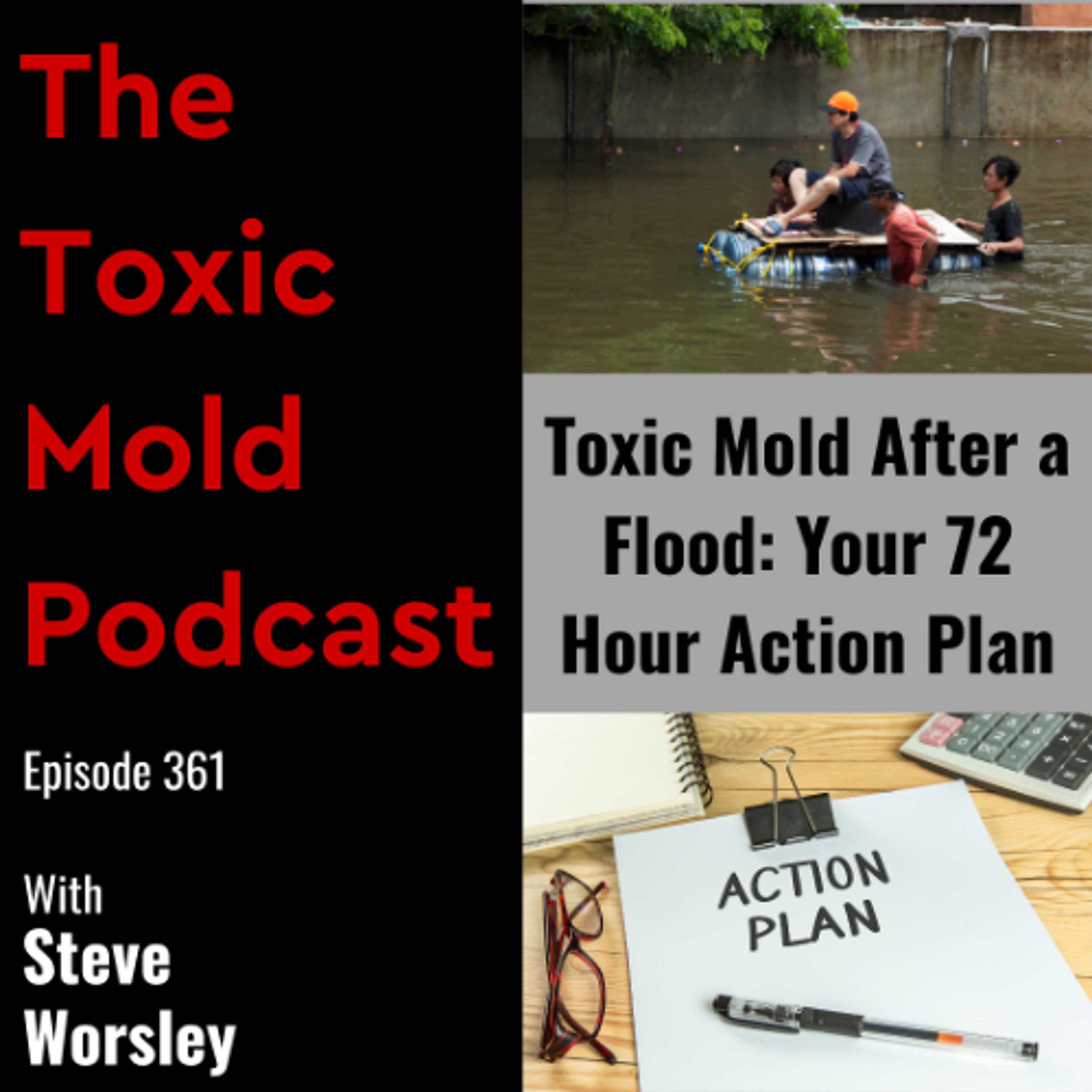 EP 361: Toxic Mold After a Flood: Your 72 Hour Action Plan episode artwork