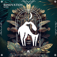 MYDIR - Renovation [Cafe De Anatolia]