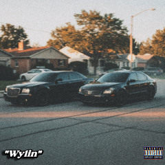 Wylin ft biz