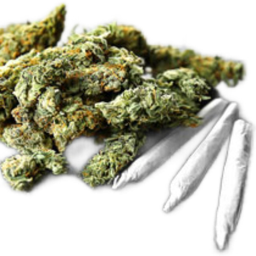 SMOKE IN DA HOUSE w/PURPPCASE