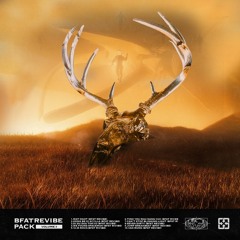 [DEMO] Revibe Pack 3 2.490.000