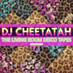 Living Room Disco Tapes Vol. 2 - Burlington, VT (3/31/25)