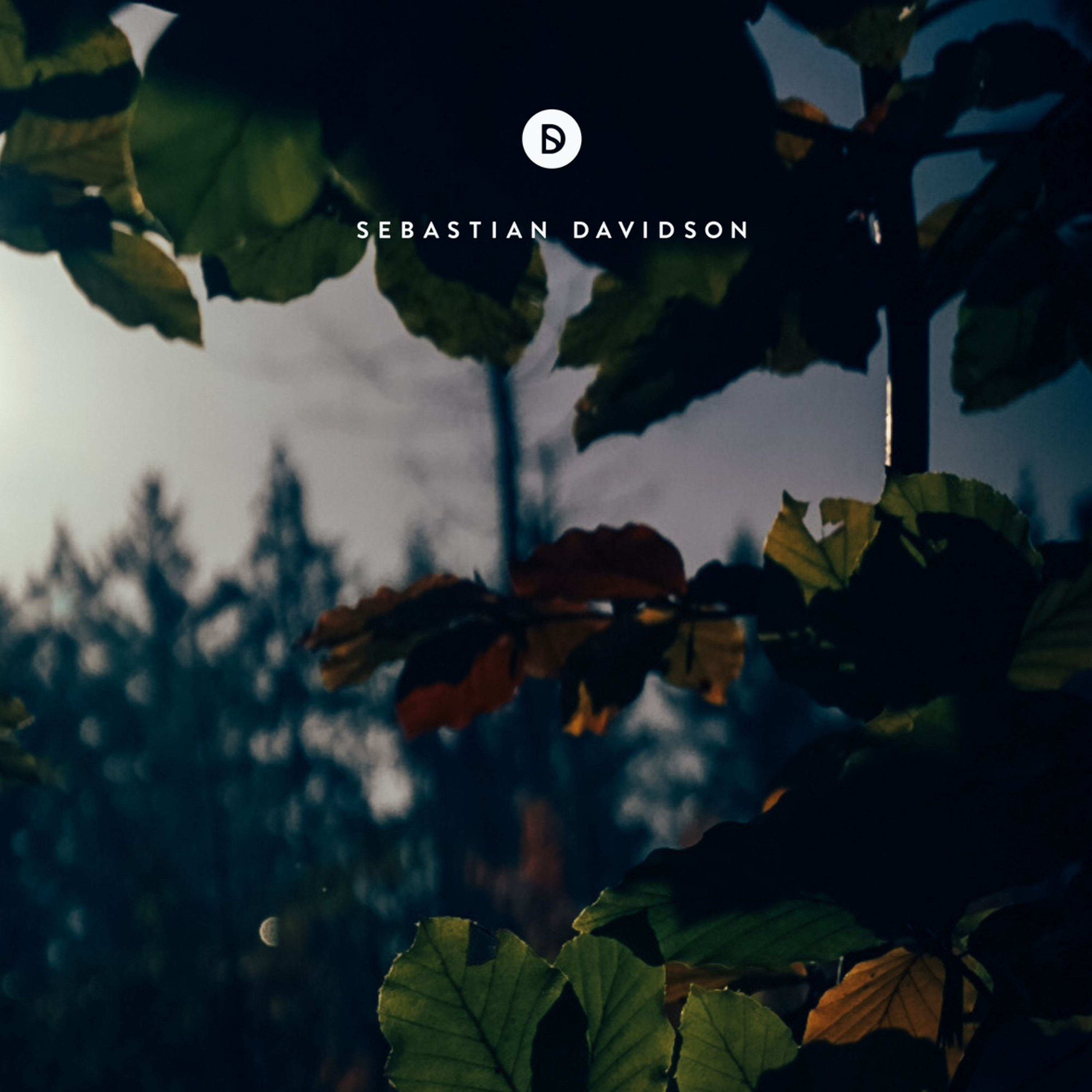 Voyage of Discovery by Sebastian Davidson