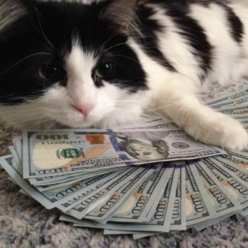 𝓩𝓸𝓸𝓼 ➞ #𝙳𝚒𝚐𝚒𝚝𝚜 𝓟𝓻𝓸𝓭 【﻿２２】 ♥ #BankAccount #BluntMusic ♥ ♩ ♪ ♫