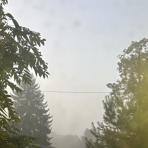 z1m2k & cian - nod off (murph + zachcs)