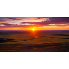 Where To Go From Here