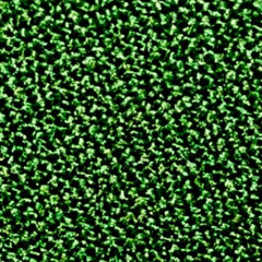 so deep (Eskimos x Jkei)