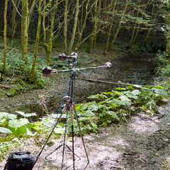 Potok Waterstream medium MKH8020 MKH40 in mix