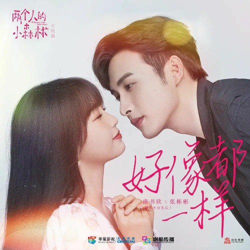 好像都一样 - 虞书欣 & 张彬彬 《两个人的小森林》片尾曲