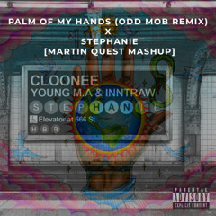 JOHN SUMMIT - PALM OF MY HANDS (ODD MOB REMIX) X CLOONEE - STEPHANIE [MARTIN QUEST MASHUP]*FILTERED