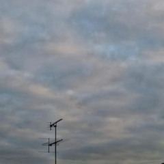 ambient dub>psytrance