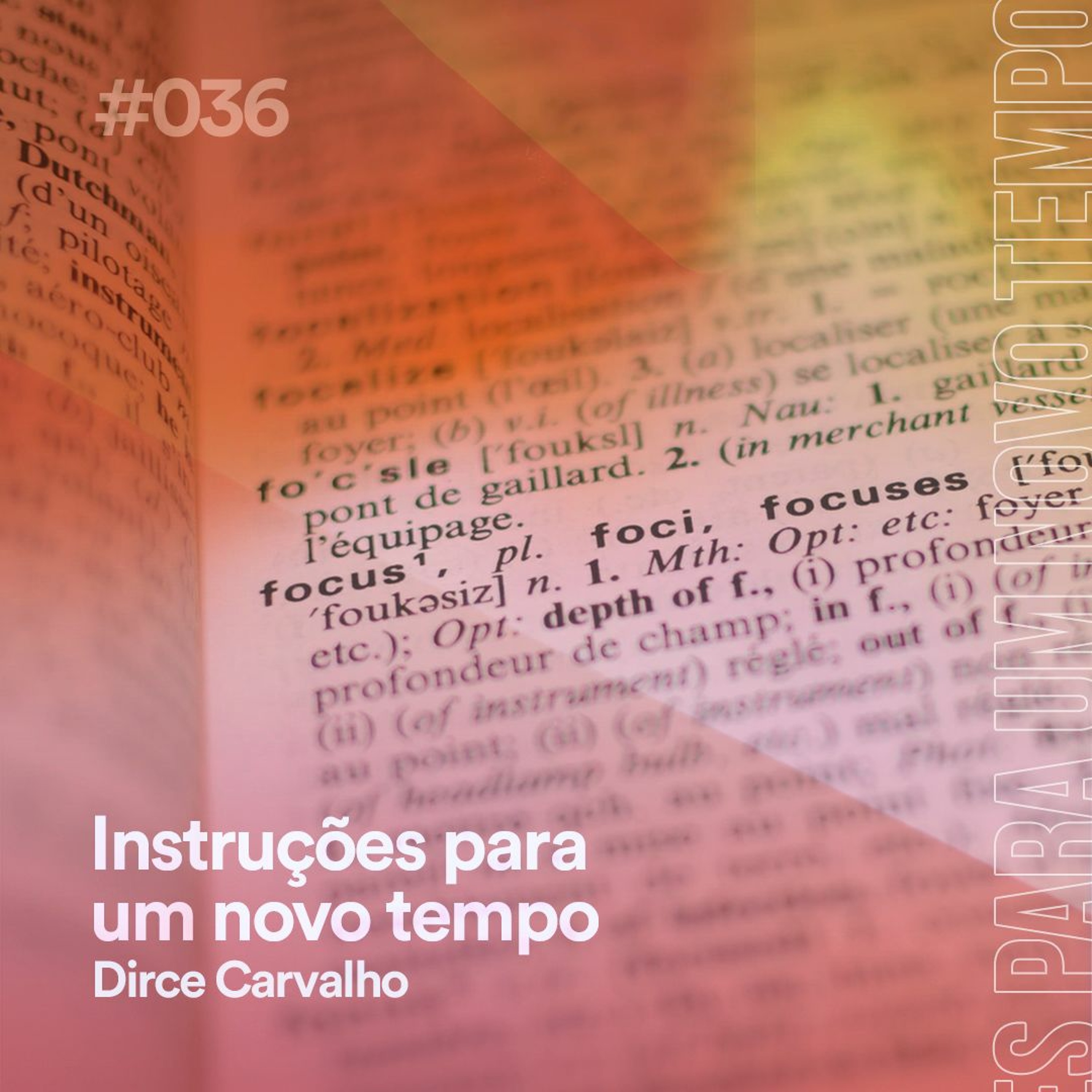 Dirce Carvalho