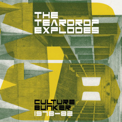 Strange House In The Snow (Single Version)