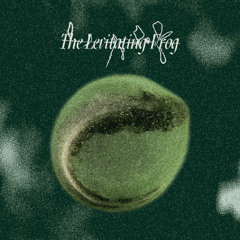 The Levitating Frog III (Presented by Repulsive Force)
