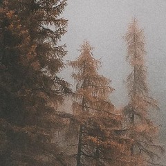 StattatoreHatesModels