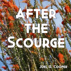 After The Scourge