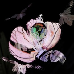 꽃들에게 희망을